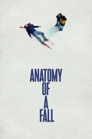 Anatomy of a Fall (2023) Unofficial Hindi Dubbed