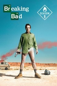 Breaking Bad (2008) Hindi Season 1 Complete