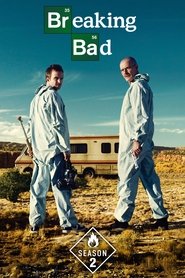 Breaking Bad (2023) Hindi Season 2 Complete