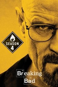 Breaking Bad (2011) Hindi Season 4 Complete