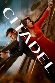 Citadel (2023) Hindi Season 1 Complete