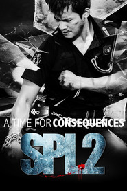 Kill Zone 2 Hindi Dubbed