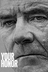 Your Honor (2020) Hindi Season 1 Complete