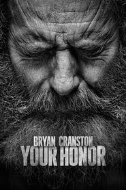 Your Honor (2021) Hindi S02 Complete A SonyLIV Tv Series