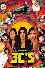 3Cs – Choices Chances and Changes (2023) Hindi Season 1 Complete