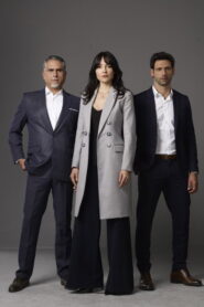 Ana is Revenge (2020) Hindi Season 1 Complete
