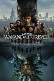 Black Panther Wakanda Forever (2022) Hindi Dubbed Original HD