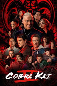 Cobra Kai (2022) Hindi Season 5 Netflix