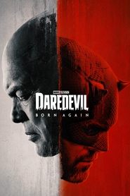 Daredevil (2015) Season 1 Complete Hindi Dubbed