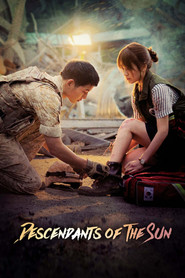 Descendants of the Sun (2016) Hindi Season 1 Complete