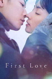 First Love (2022) Hindi Season 1 Complete Netflix