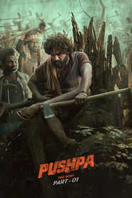 Pushpa: The Rise – Part 1 (2021) Hindi Dubbed