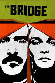 The Bridge (2013) Hindi Season 2 Complete