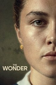 The Wonder (2022) Hindi Dubbed Netflix
