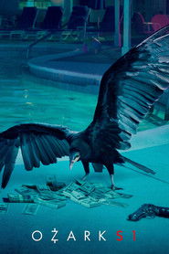 Ozark (2017) Hindi Season 1 Complete Netflix