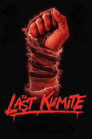 The Last Kumite (2024) Unofficial Hindi Dubbed