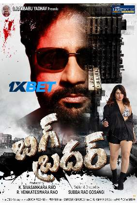 Big Brother (2024) HQ Hindi Dubbed Poster
