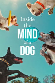Inside the Mind of a Dog (2024) Hindi Dubbed Netflix