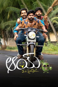 Aay (2024) HQ Hindi Dubbed
