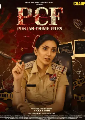 Punjab Crime Files (2024) Punjabi Season 1 Complete Poster