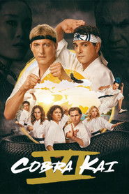 Cobra Kai (2024) Hindi Season 6 Complete Netflix