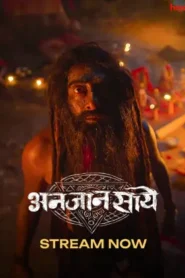 Anjaan Saaye (2024) Hindi Season 1 Complete