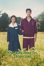 When Life Gives You Tangerines (2025) Hindi Season 1 Complete Netflix
