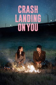 Crash Landing on You (2019) Hindi Season 1 Complete Netflix