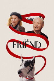 The Friend (2025) Hindi Dubbed WEBRip