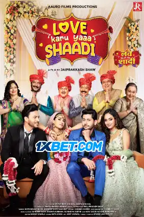 Love karu Yaa Shaadi (2025) Hindi HDTC Poster