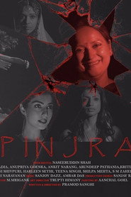 Pinjra (2025) Punjabi HD