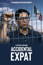 Accidental Expat (2025) Unofficial Hindi Dubbed