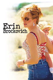 Erin Brockovich (2000) Hindi Dubbed
