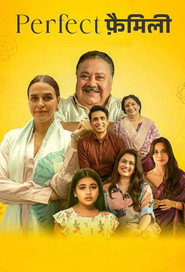 Perfect Family (2025) Hindi Season 1 Complete