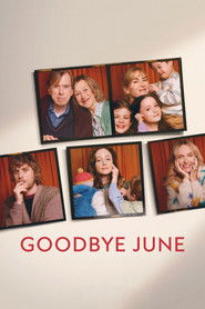 Goodbye June (2025) Hindi Dubbed Netflix