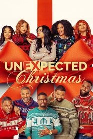 Unexpected Christmas (2025) Unofficial Hindi Dubbed