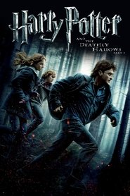Harry Potter and the Deathly Hallows: Part 1 (2010) Hindi Dubbed